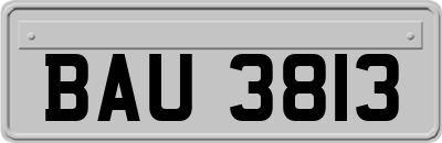 BAU3813