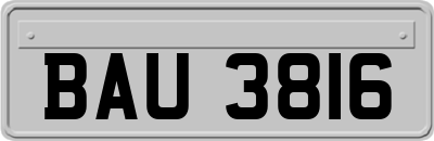 BAU3816