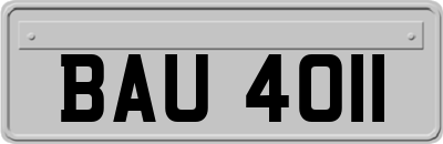 BAU4011