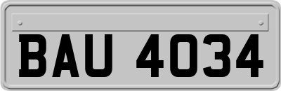 BAU4034