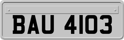 BAU4103