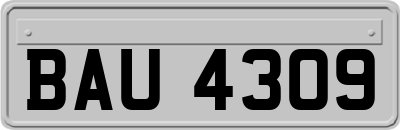BAU4309