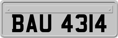 BAU4314