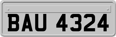 BAU4324