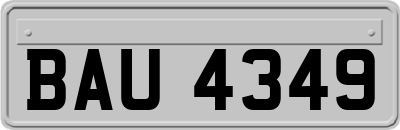 BAU4349