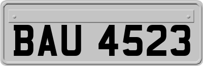 BAU4523