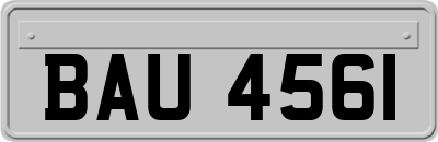 BAU4561