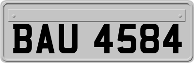 BAU4584
