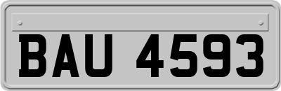 BAU4593