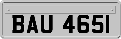 BAU4651