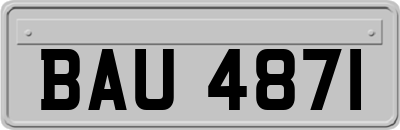 BAU4871