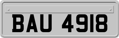BAU4918
