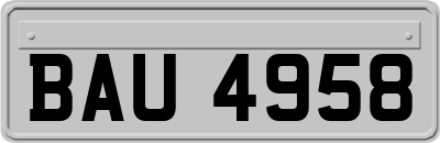 BAU4958