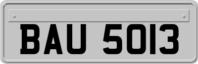 BAU5013