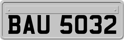 BAU5032