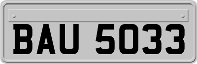 BAU5033
