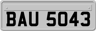 BAU5043