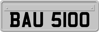 BAU5100