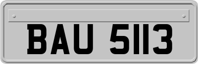 BAU5113