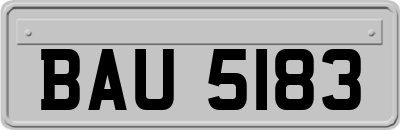 BAU5183