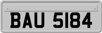 BAU5184