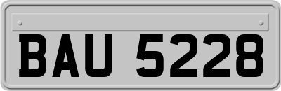 BAU5228