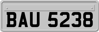 BAU5238