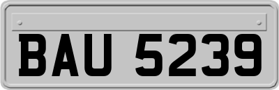 BAU5239