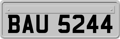 BAU5244