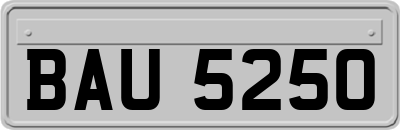 BAU5250