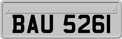 BAU5261