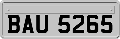 BAU5265
