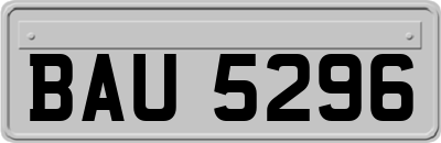 BAU5296