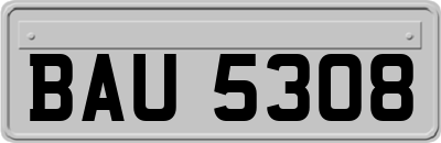 BAU5308