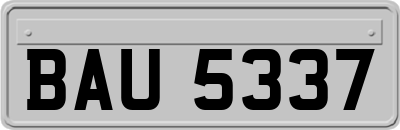 BAU5337
