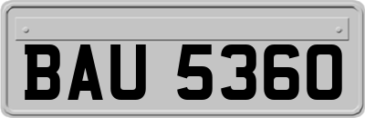 BAU5360