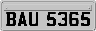 BAU5365
