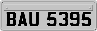 BAU5395