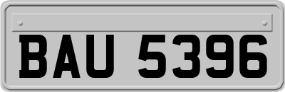 BAU5396
