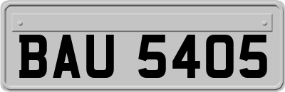 BAU5405