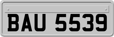 BAU5539