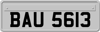 BAU5613