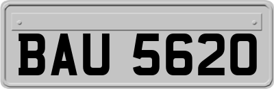 BAU5620