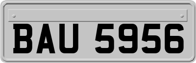 BAU5956