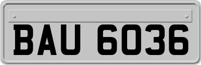 BAU6036