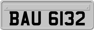 BAU6132