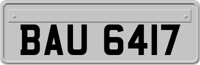 BAU6417