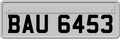 BAU6453