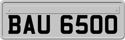 BAU6500