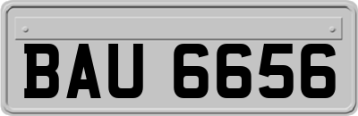 BAU6656